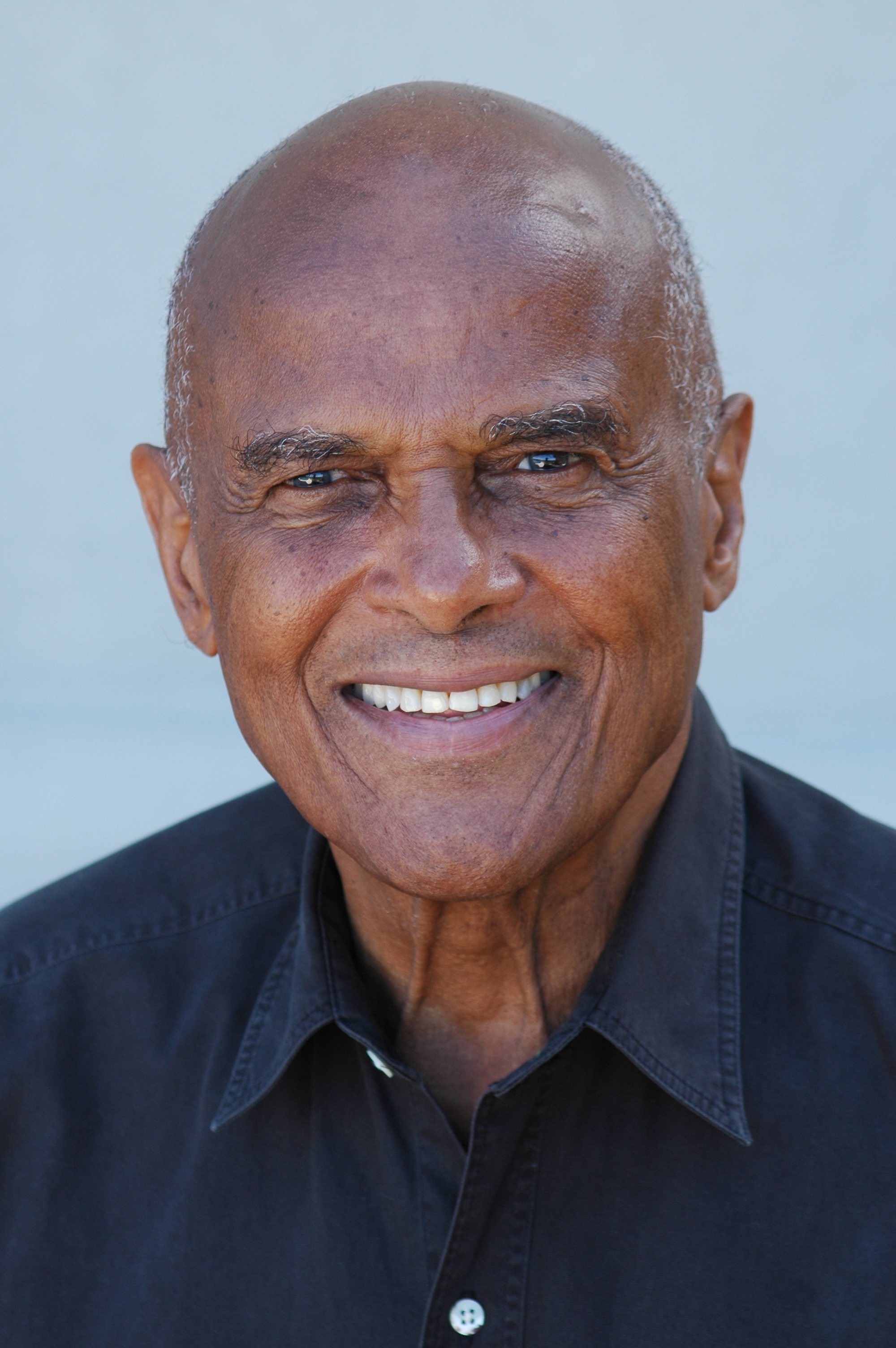 Harry Belafonte - Gallery Colection